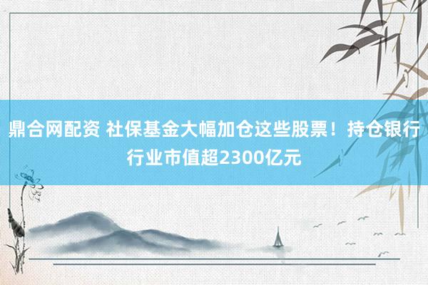鼎合网配资 社保基金大幅加仓这些股票！持仓银行行业市值超2300亿元